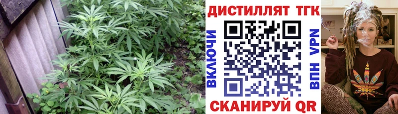 shop состав  купить наркоту  Сосенский  ТГК THC oil 