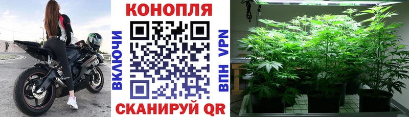 Каннабис Ganja  Сосенский 